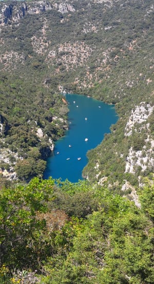 De lagere Gorges du Verdon en een verfrissend bad - Quinson - 199