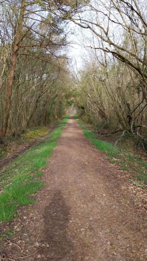 Randonnée à Thuret en forêt de Barbelinière - Thuré - 6