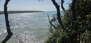Pointe du Payré-pad - Jard-sur-Mer - 111