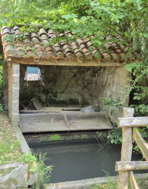 Courlay moitié de la Prée des Bazins - Courlay - 6