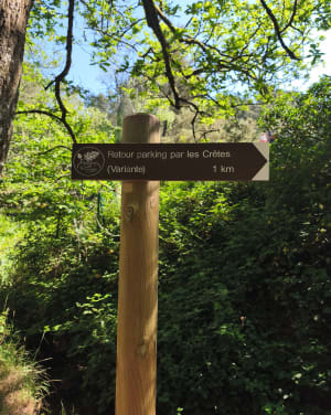 Jusqu'aux confins du Val sans Retour (Brocéliande) - Tréhorenteuc - 35