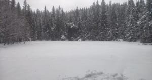 Wandel naar Etang du Lauzet en de frisheid van het struikgewas - Villard de Lans - 4