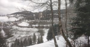 Wandel naar Etang du Lauzet en de frisheid van het struikgewas - Villard de Lans - 6
