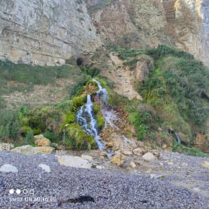 Fécamp, route par Grainval, retour plage - Fécamp - 12