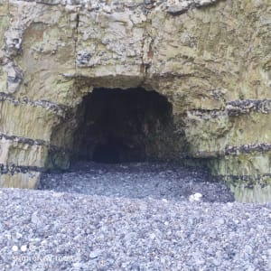 Fécamp, route par Grainval, retour plage - Fécamp - 13