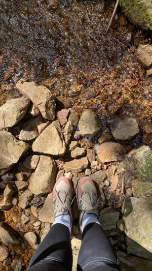Wandeling naar de Saut de la Bourrique - Gérardmer - 36