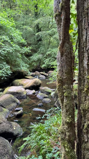 Huelgoat en de Argent-rivier, ontdekkingstocht - Huelgoat - 13