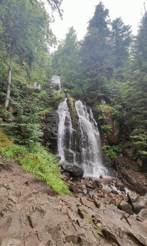 Le tour des cascades de Tendon - Le Tholy - 12
