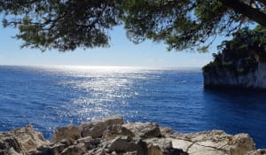 Calanques van Port-Miou en En-Vau - Cassis - 13