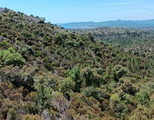 Balade dans L'Esterel, depuis Saint-Raphaël, par le carrefour de Roche Noire - Saint-Raphaël - 11