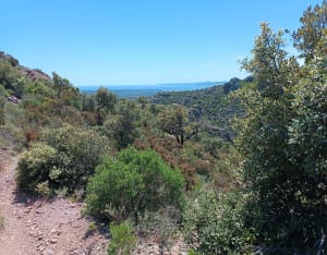 Balade dans L'Esterel, depuis Saint-Raphaël, par le carrefour de Roche Noire - Saint-Raphaël - 12