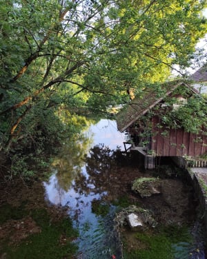 Fontaine-sous-Jouy, ses bois et ses étangs - Fontaine-sous-Jouy - 18