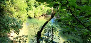 Source bleue et lac de Saint-Point - Malbuisson - 7