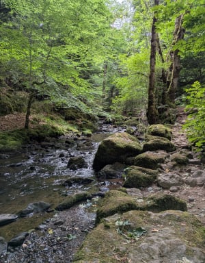 Balade entre Besse et la Cascades de Chiloza - Besse-et-Saint-Anastaise - 26