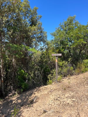 Sur les hauteurs de Galéria 3km - Galéria - 6