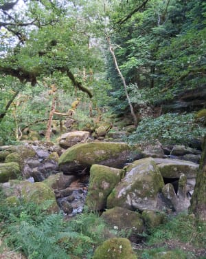 Sortie cool et verte aux cascades du Deiro - Soudeilles - 10