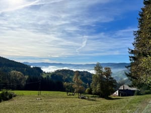 Aubure, col de Fréland et couleurs chatoyantes d'automne - Fréland - 9