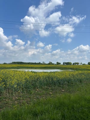 Balade Mignaloux-Beauvoir à Nouaillé-Maupertuis - sarah - 6