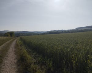 Randonnée matinale à Saint-Mihiel - Saint-Mihiel - 5