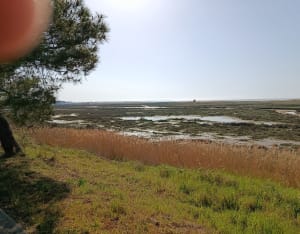 Balade de la Faute sur Mer à Longeville sur Mer - L'Aiguillon-la-Presqu'île - 5