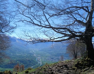 Le pic du Pibeste à Agos-Vidalos - Agos-Vidalos - 8