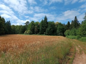 De Razes à Silord - Razès - 8