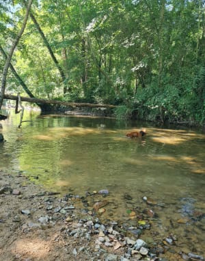 Promenade du Causse Blanc au fil de la Diège - Alexandrine - 10