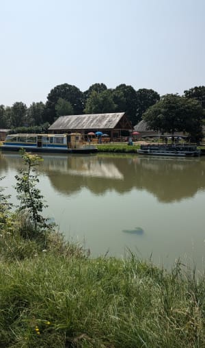 Balade dans les environs de Cuffy et le canal - Soazig - 11