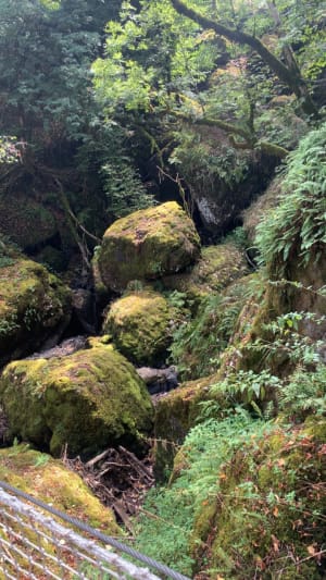 Ontdekkingswandeling van de Salins-waterval - Salins - 11