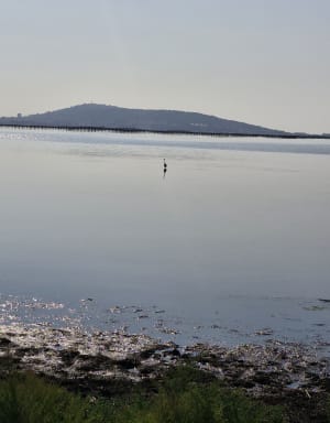 Balade entre Mèze et Loupian - Mèze - 20