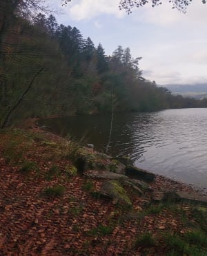 Lac Chambon et mise en beauté de la nature - Murol - 47
