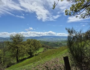 Boucle autour de Sainte-Catherine - MARION - 3