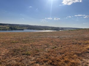 Vierge du lac Pareloup - Salles-Curan - 13