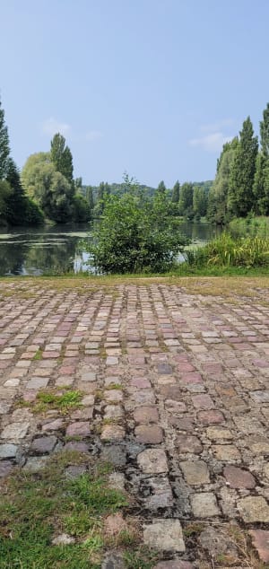 Belle balade dans le parc de Rouelles - Harfleur - 7