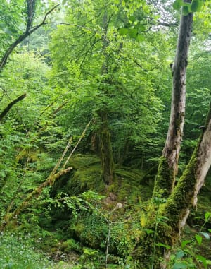 De kloof langs de Rijst, vanaf Arrodets - La Serre, Lannemezan - 3