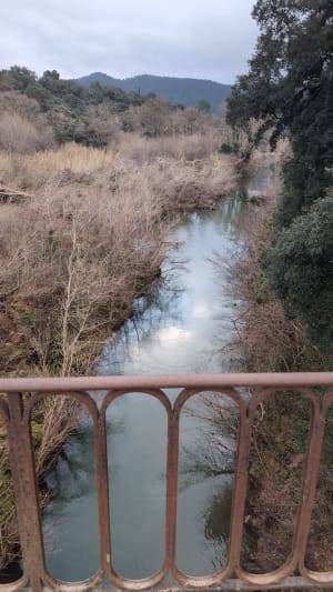 Cabredor : belle randonnée aux Arcs sur Argens - Les Arcs - 9