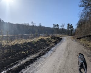 Balade depuis Rilly-la-Montagne - Eric - 12