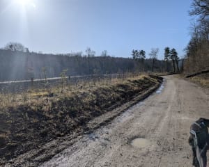 Balade depuis Rilly-la-Montagne - Eric - 13