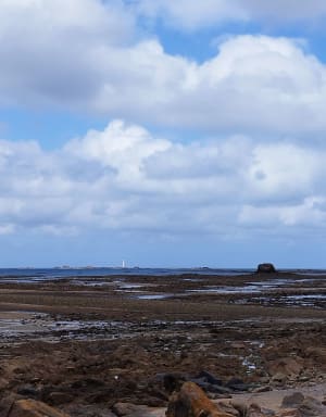 Wandeling in Pleubian en uitzicht op de Talbertgroeve - Pleubian - 18