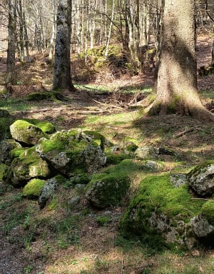 Marche autour de Lalligier - Sandrine - 4