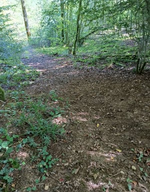 Parcours trail des dolines à Dampierre sur linotte - Dampierre-sur-Linotte - 3