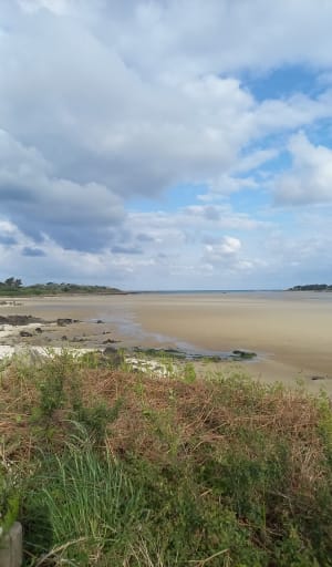 Visitez Guisseny côté mer et marais - Guissény - 12