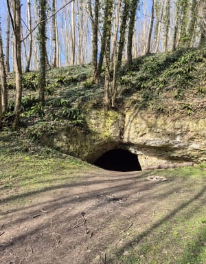 Tilleul - Antifer - Etretat - Le Tilleul - 53