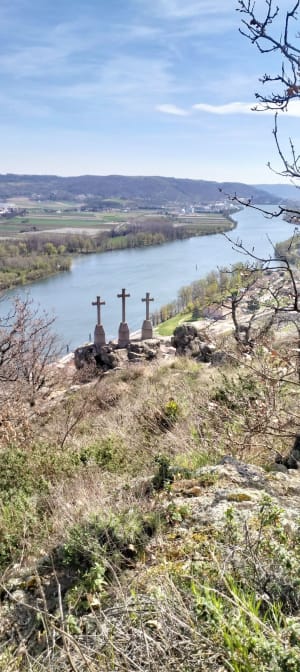 À travers les vergers ardéchois et bords du Rhône - Andance - 9
