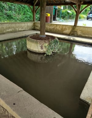 Boulon et la Vignonnière - Boulon - 2