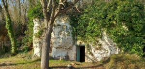 Les bois de Nogent le Roi - Nogent-le-Roi - 6