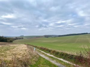 Boucle entre Plessier-Rozainvillers et la vallée de l'Avre - Le Plessier-Rozainvillers - 12