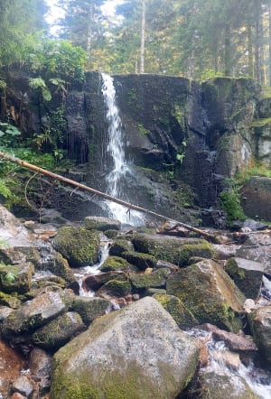 Saut de la Bourrique et Tête de Mérelle à Géradmer - Gérardmer - 18