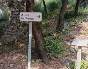 Flassans-sur-Issole et le château de Pontevès - Flassans-sur-Issole - 4