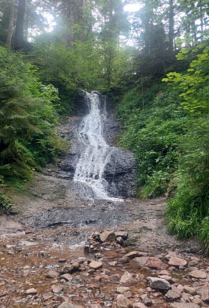 Saut de la Bourrique et Tête de Mérelle à Géradmer - Gérardmer - 19